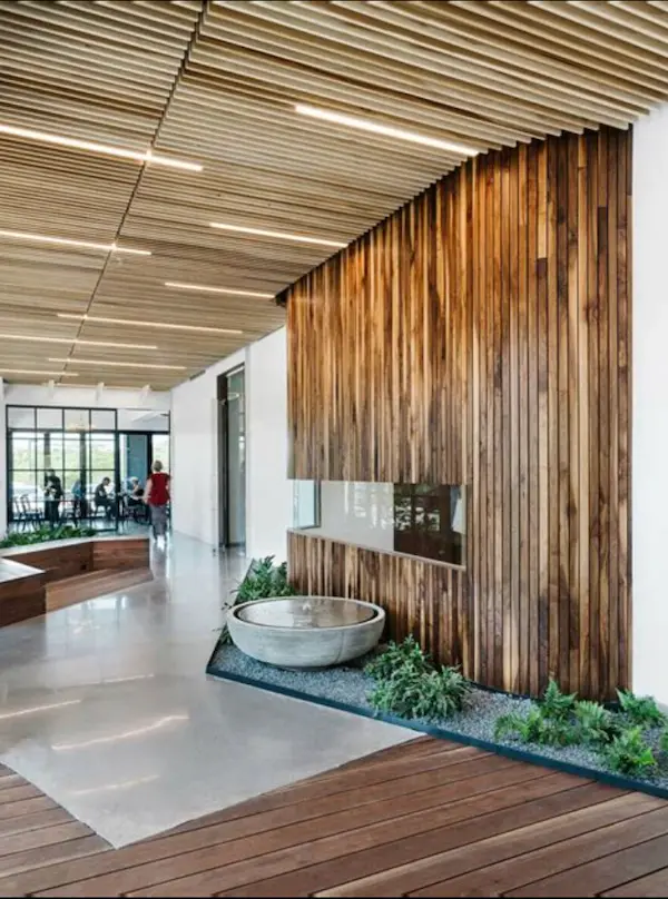 Holistic Wellness in Modern Design